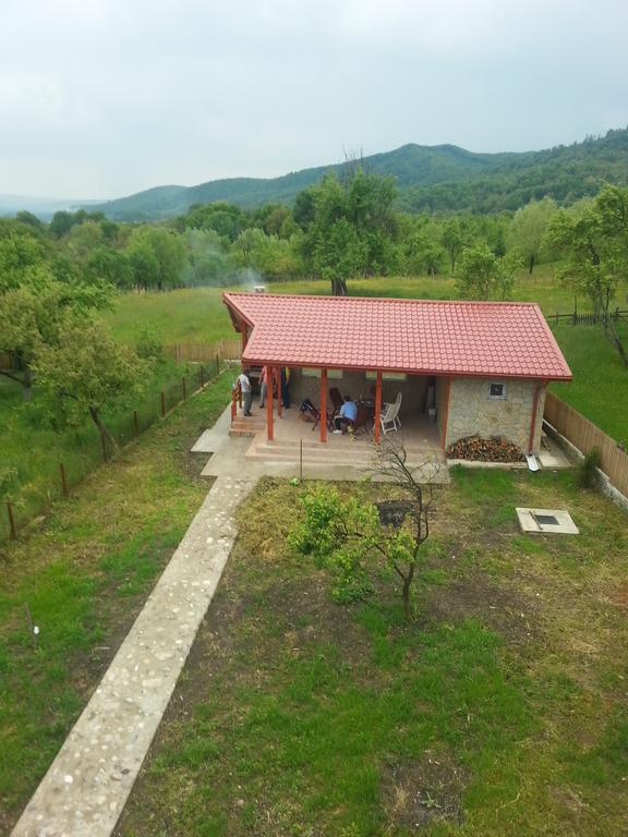 Pensiunea Agroturistica Ioana Bradulet ภายนอก รูปภาพ
