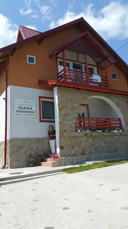 Pensiunea Agroturistica Ioana Bradulet ภายนอก รูปภาพ