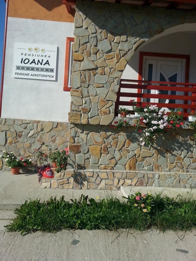 Pensiunea Agroturistica Ioana Bradulet ภายนอก รูปภาพ
