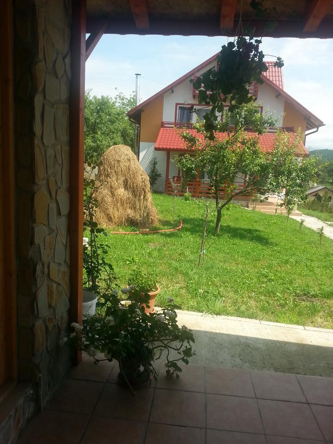 Pensiunea Agroturistica Ioana Bradulet ภายนอก รูปภาพ