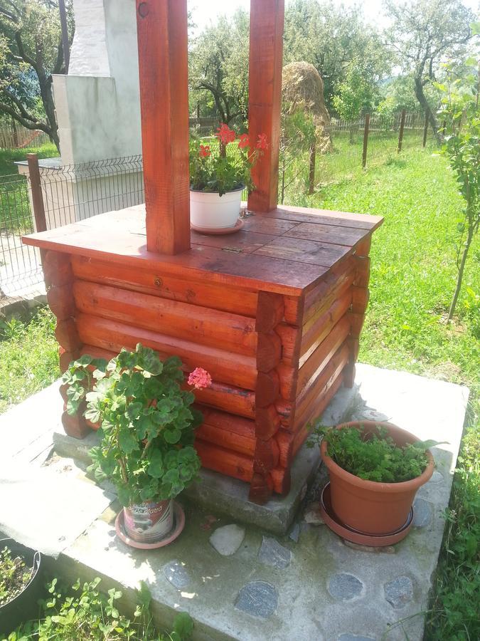 Pensiunea Agroturistica Ioana Bradulet ภายนอก รูปภาพ