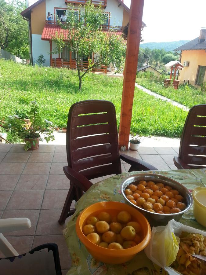 Pensiunea Agroturistica Ioana Bradulet ภายนอก รูปภาพ